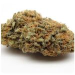 Шишки AK47 (Гидропоника, Бошка) VHQ в Темрюке Шишки AK47 (Гидропоника, Бошка) VHQ в Темрюке